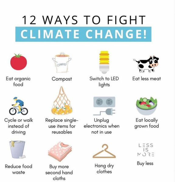 12 Ways To Fight Climate Change