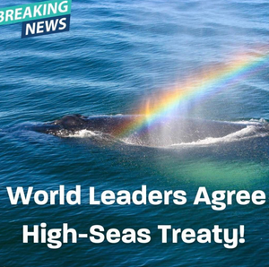 High-Seas Treaty