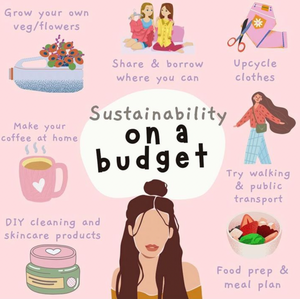 Sustainability on a Budget