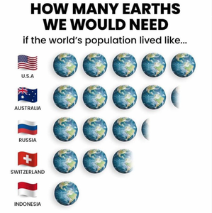 How Many Earth We Would Need...