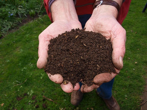 How To Compost (part II)