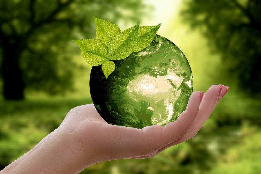 10 Steps To Be More Eco-Friendly