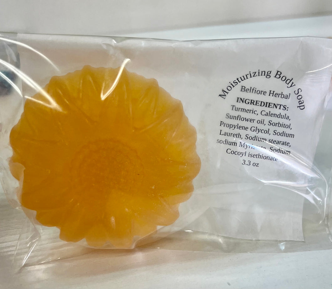 Moisturizing Body Soap