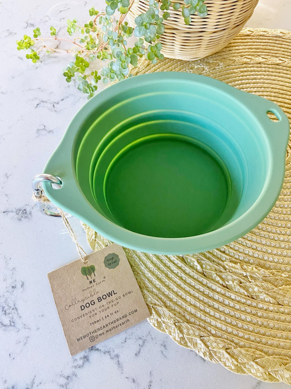 Collapsible Silicone Dog Bowl