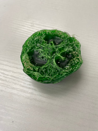 Loofah Sponge- All Natural