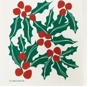 Swedish Dishcloth