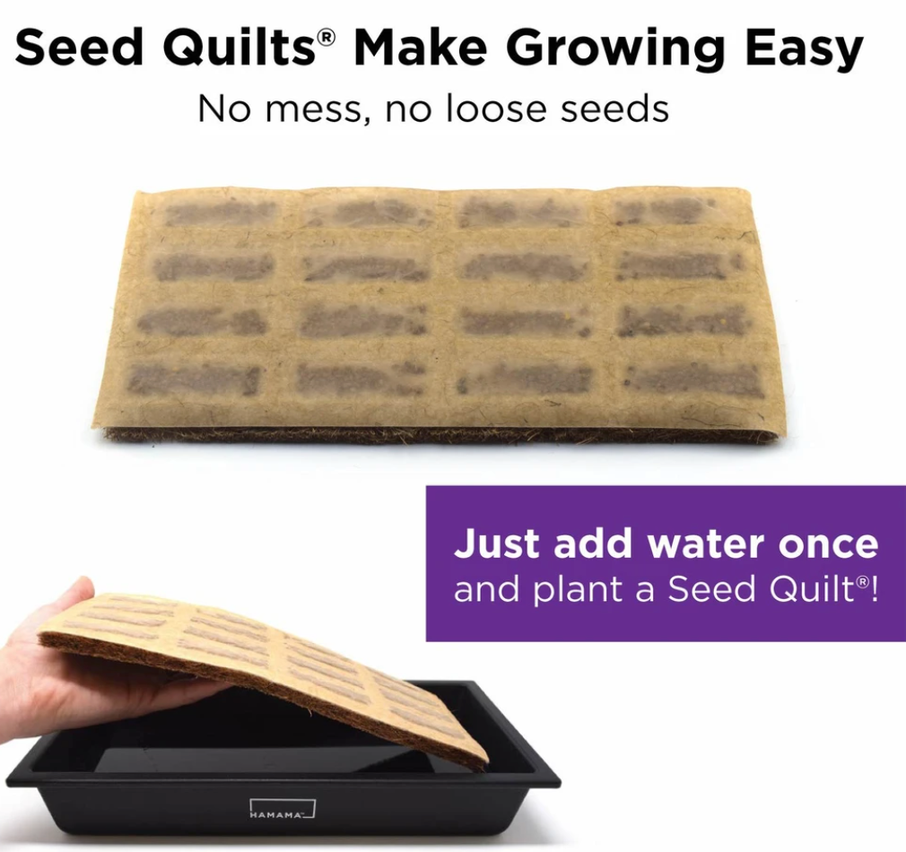 Microgreen Starter Kit