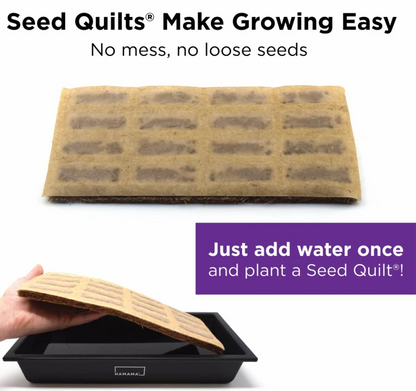Microgreen Starter Kit