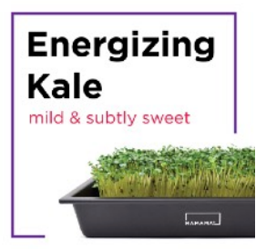 Microgreen Starter Kit