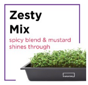 Microgreen Starter Kit