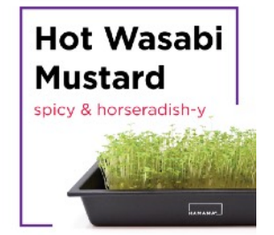 Microgreen Starter Kit