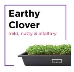 Microgreen Starter Kit
